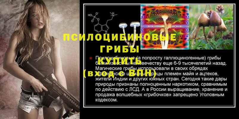 Галлюциногенные грибы MAGIC MUSHROOMS  Магадан 